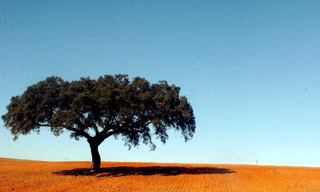 Paisagem do Alentejo
